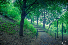 Westpark