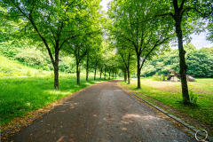 Westpark