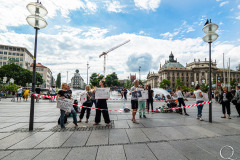 Vegan demonstration
