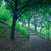 Westpark