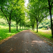 Westpark
