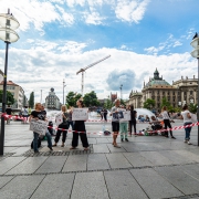 Vegan demonstration