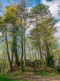 In the park near Jungfernsprungturm