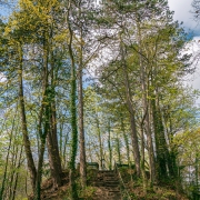 In the park near Jungfernsprungturm