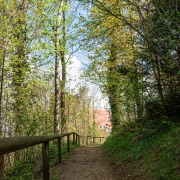 Path near Jungfernsprungturm