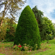 Vichy Park