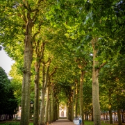 Vichy, Celestin Park